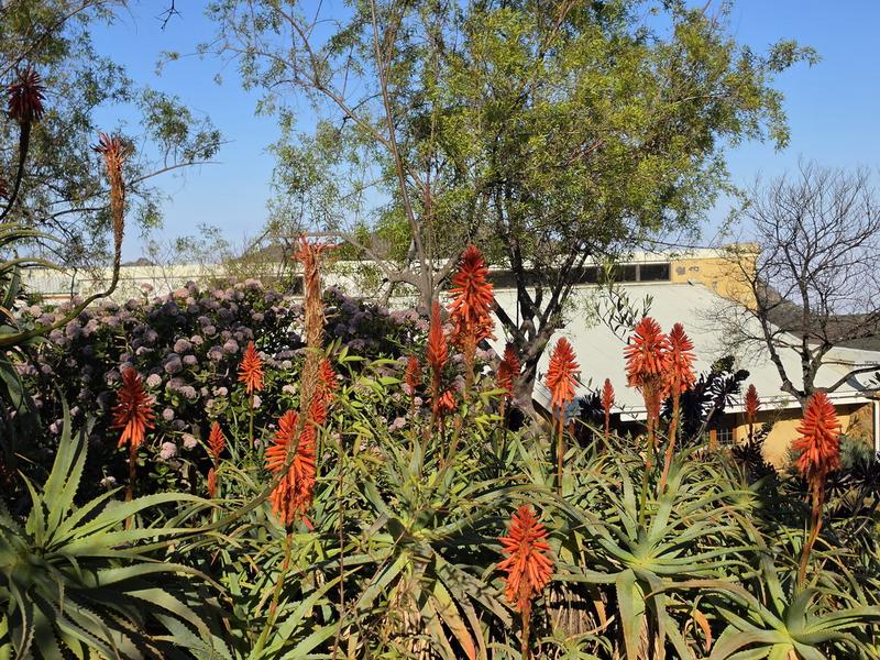 4 Bedroom Property for Sale in Piketberg Rural Western Cape